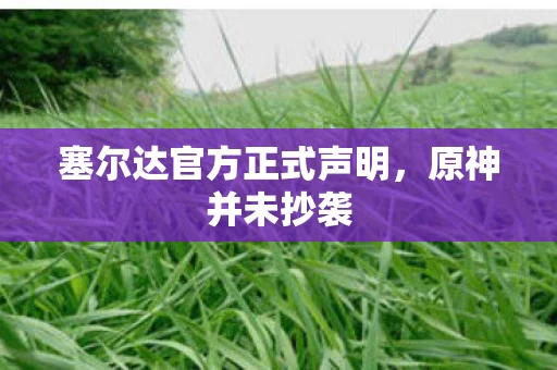 塞尔达官方正式声明图片
