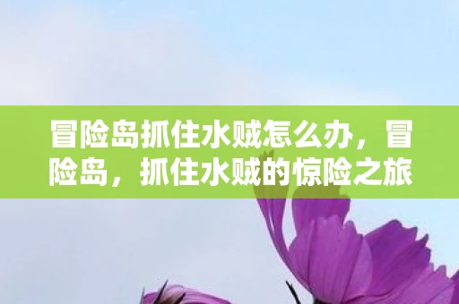冒险岛抓住水贼怎么办,冒险岛,抓住水贼的惊险之旅 冒险岛抓住水贼怎么办,冒险岛,抓住水贼的惊险之旅