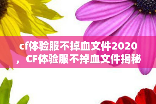 cf体验服不掉血文件2020，CF体验服不掉血文件揭秘，游戏平衡与作弊的灰色地带