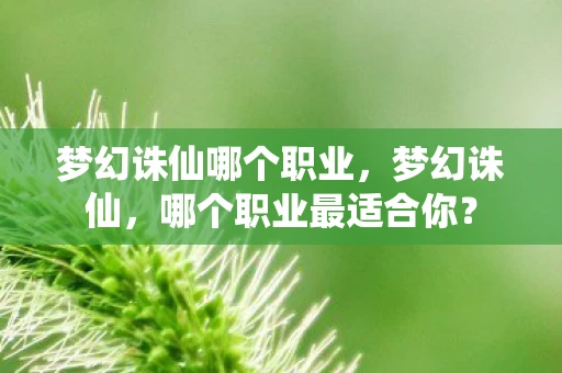 梦幻诛仙哪个职业，梦幻诛仙，哪个职业最适合你？