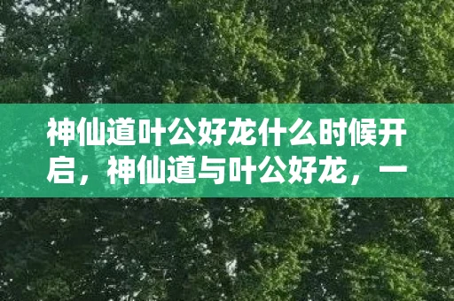 神仙道叶公好龙什么时候开启，神仙道与叶公好龙，一场跨越时空的对话