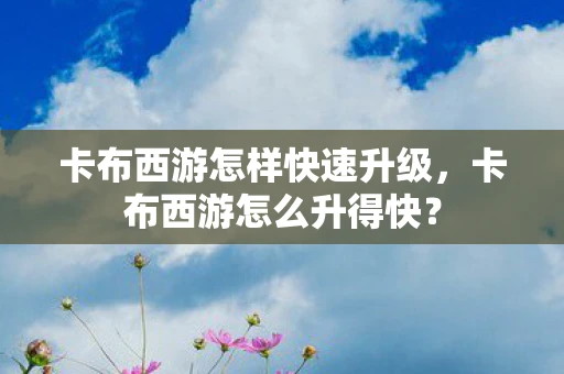 卡布西游怎样快速升级，卡布西游怎么升得快？