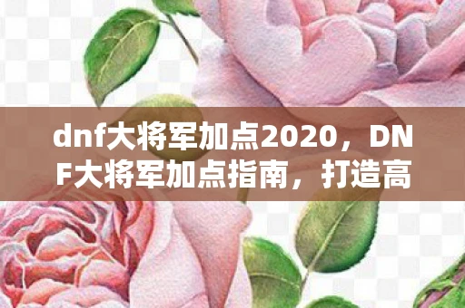 dnf大将军加点2020，DNF大将军加点指南，打造高效战斗力的关键