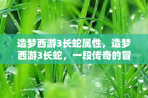 造梦西游3长蛇属性，造梦西游3长蛇，一段传奇的冒险之旅