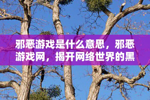 邪恶游戏是什么意思,邪恶游戏网,揭开网络世界的黑暗面纱 邪恶游戏是什么意思,邪恶游戏网,揭开网络世界的黑暗面纱