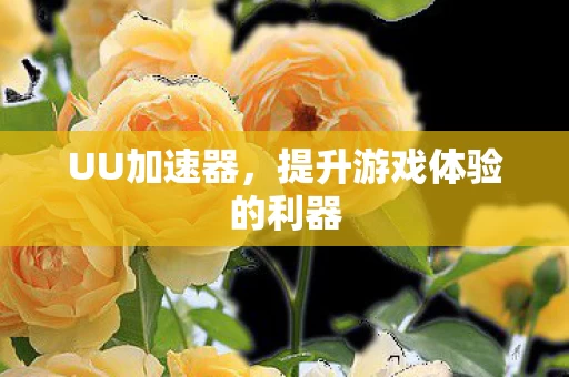 提升游戏体验的利器图片
