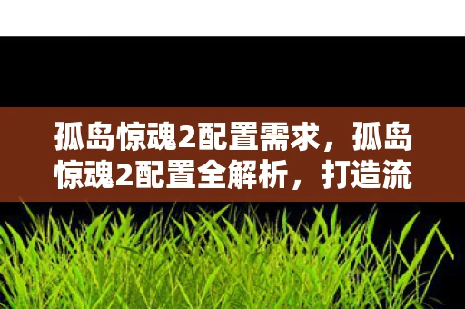 孤岛惊魂2配置需求，孤岛惊魂2配置全解析，打造流畅游戏体验
