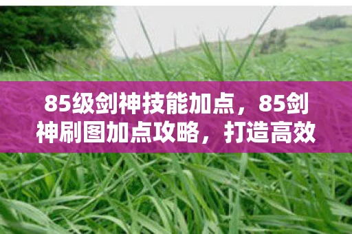 85级剑神技能加点，85剑神刷图加点攻略，打造高效战斗力的关键