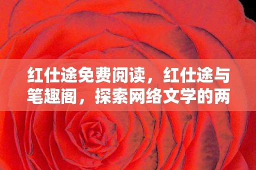 红仕途免费阅读，红仕途与笔趣阁，探索网络文学的两面镜