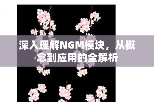 深入理解NGM模块，从概念到应用的全解析