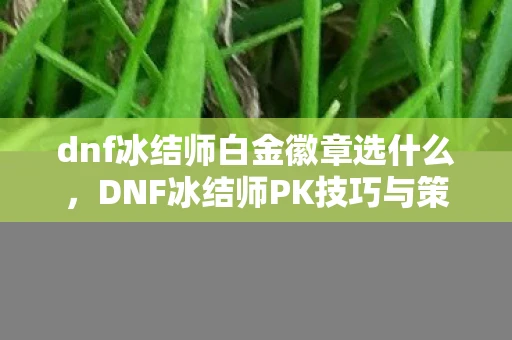 dnf冰结师白金徽章选什么，DNF冰结师PK技巧与策略
