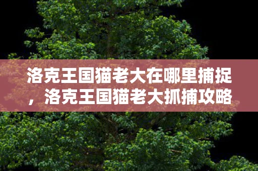 洛克王国猫老大在哪里捕捉，洛克王国猫老大抓捕攻略