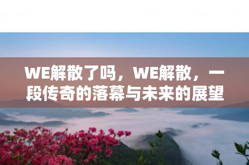 WE解散了吗，WE解散，一段传奇的落幕与未来的展望