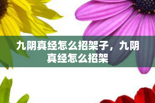 九阴真经怎么招架子，九阴真经怎么招架