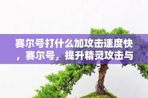 赛尔号打什么加攻击速度快，赛尔号，提升精灵攻击与速度的最佳选择