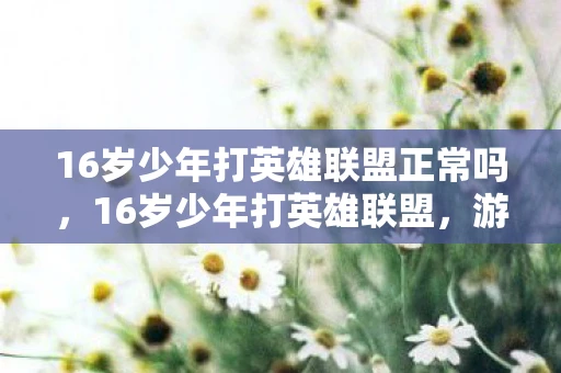 16岁少年打英雄联盟正常吗,16岁少年打英雄联盟,游戏背后的成长与挑战 16岁少年打英雄联盟正常吗,16岁少年打英雄联盟,游戏背后的成长与挑战