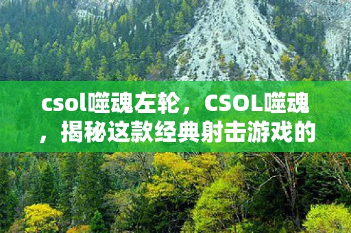 csol噬魂左轮，CSOL噬魂，揭秘这款经典射击游戏的神秘魅力