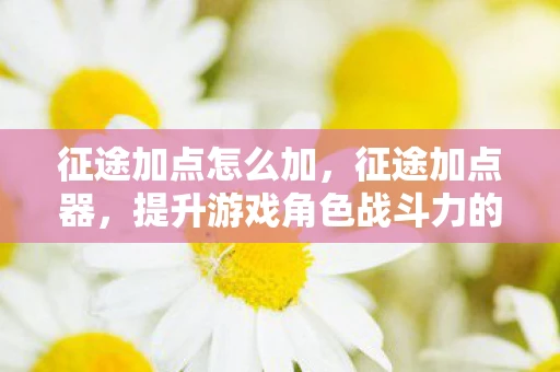 征途加点怎么加，征途加点器，提升游戏角色战斗力的神器