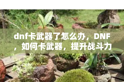 dnf卡武器了怎么办，DNF，如何卡武器，提升战斗力的秘密技巧