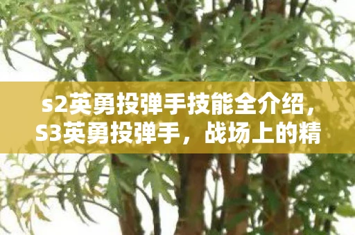 s2英勇投弹手技能全介绍,S3英勇投弹手,战场上的精准杀手 s2英勇投弹手技能全介绍,S3英勇投弹手,战场上的精准杀手