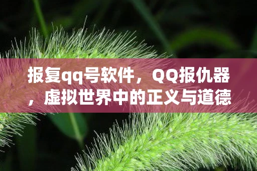 报复qq号软件，QQ报仇器，虚拟世界中的正义与道德边界