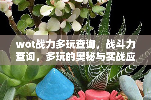 wot战力多玩查询,战斗力查询,多玩的奥秘与实战应用 wot战力多玩查询,战斗力查询,多玩的奥秘与实战应用
