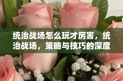 统治战场怎么玩才厉害，统治战场，策略与技巧的深度解析