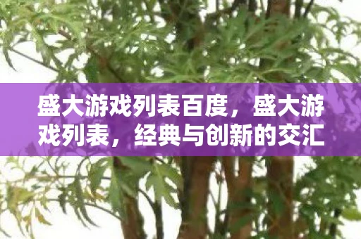 盛大游戏列表百度,盛大游戏列表,经典与创新的交汇 盛大游戏列表百度,盛大游戏列表,经典与创新的交汇