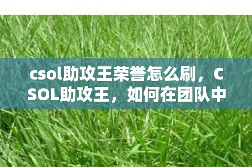 csol助攻王荣誉怎么刷，CSOL助攻王，如何在团队中成为关键角色
