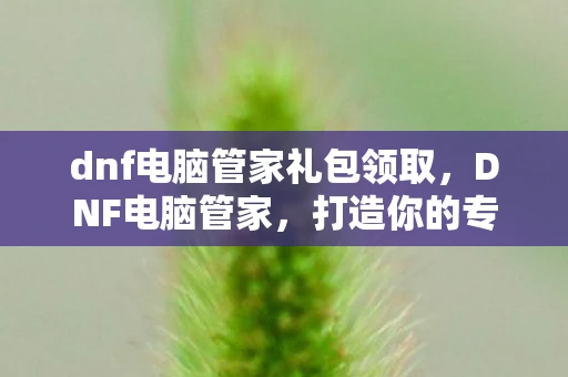 dnf电脑管家礼包领取,DNF电脑管家,打造你的专属游戏助手 dnf电脑管家礼包领取,DNF电脑管家,打造你的专属游戏助手