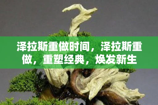 泽拉斯重做时间，泽拉斯重做，重塑经典，焕发新生
