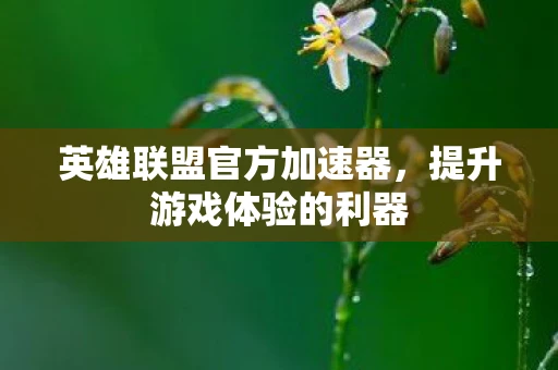 英雄联盟官方加速器,提升游戏体验的利器 英雄联盟官方加速器,提升游戏体验的利器