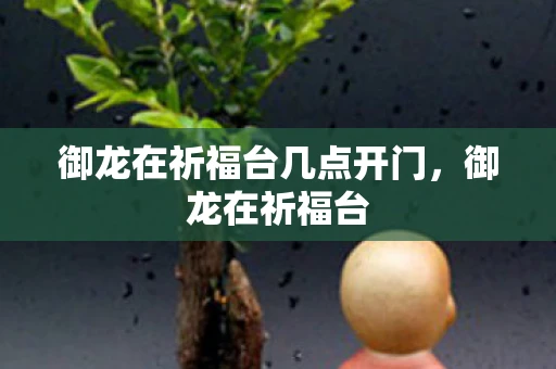 御龙在祈福台几点开门,御龙在祈福台 御龙在祈福台几点开门,御龙在祈福台