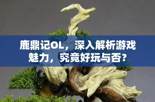 深入解析游戏魅力图片