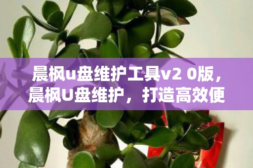 晨枫u盘维护工具v2 0版，晨枫U盘维护，打造高效便捷的系统维护工具