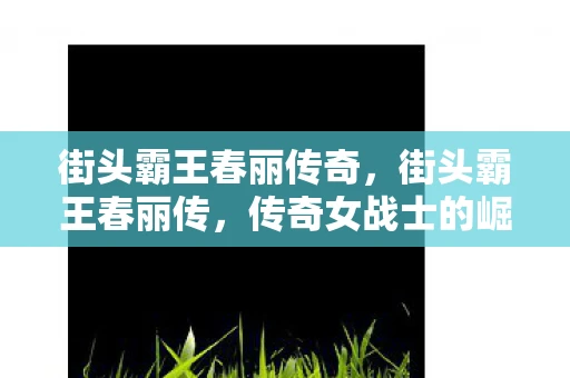 街头霸王春丽传奇，街头霸王春丽传，传奇女战士的崛起
