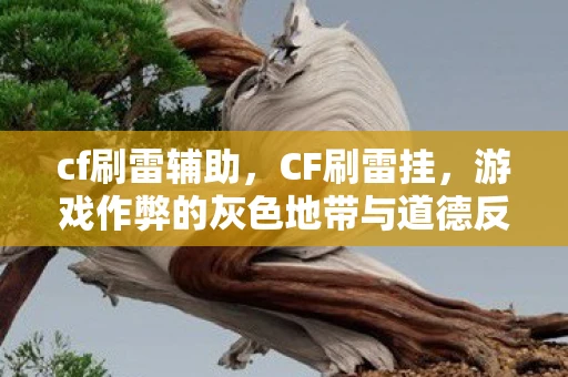 cf刷雷辅助，CF刷雷挂，游戏作弊的灰色地带与道德反思