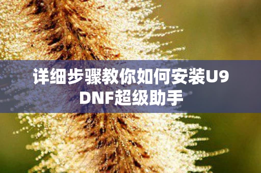 详细步骤教你如何安装U9DNF超级助手图片