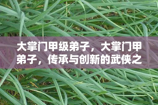 大掌门甲级弟子，大掌门甲弟子，传承与创新的武侠之旅