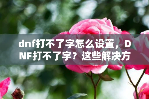 dnf打不了字怎么设置，DNF打不了字？这些解决方案帮你轻松应对！