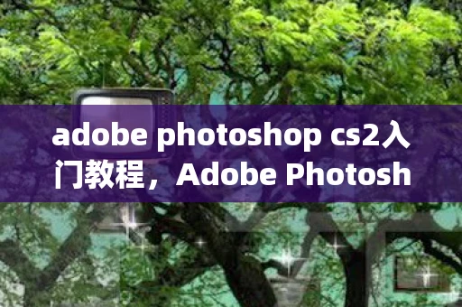 adobe photoshop cs2入门教程，Adobe Photoshop CS2教程，掌握经典版图像处理软件
