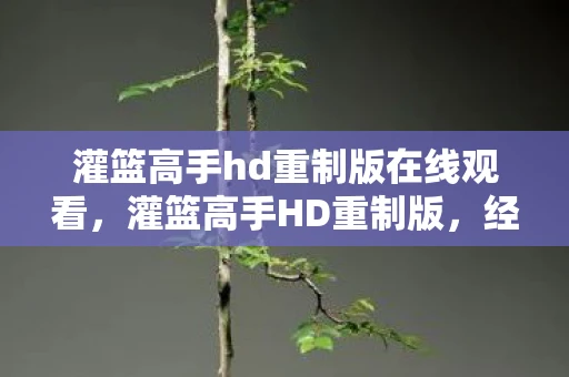 灌篮高手hd重制版在线观看,灌篮高手HD重制版,经典再现,青春回忆的延续 灌篮高手hd重制版在线观看,灌篮高手HD重制版,经典再现,青春回忆的延续
