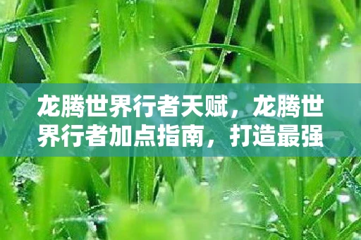 龙腾世界行者天赋，龙腾世界行者加点指南，打造最强角色