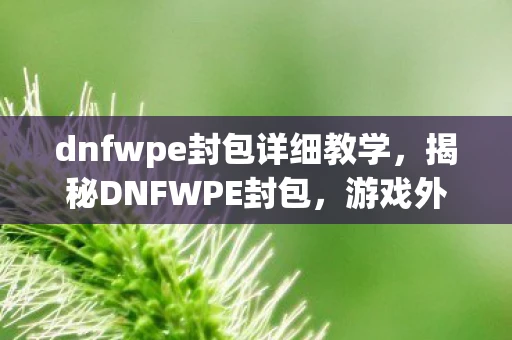 dnfwpe封包详细教学，揭秘DNFWPE封包，游戏外挂背后的技术黑幕