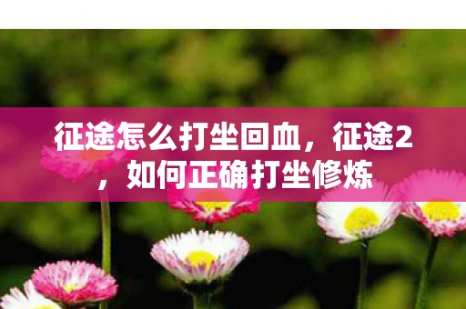 征途怎么打坐回血，征途2，如何正确打坐修炼