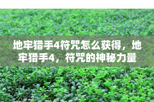 地牢猎手4符咒怎么获得,地牢猎手4,符咒的神秘力量 地牢猎手4符咒怎么获得,地牢猎手4,符咒的神秘力量