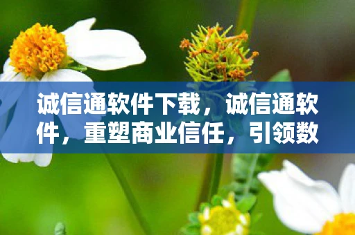 诚信通软件下载，诚信通软件，重塑商业信任，引领数字时代新风尚