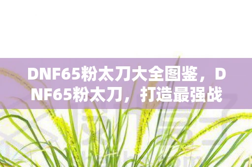 DNF65粉太刀大全图鉴,DNF65粉太刀,打造最强战斗力的必备神器 DNF65粉太刀大全图鉴,DNF65粉太刀,打造最强战斗力的必备神器