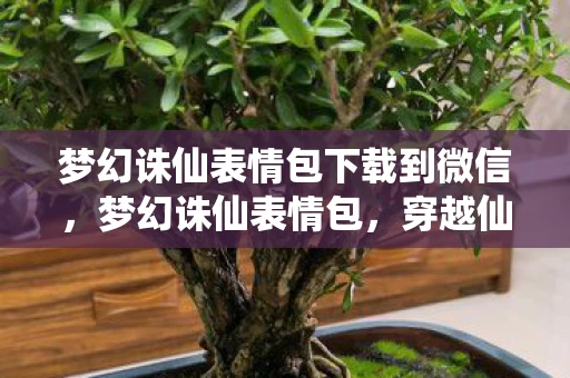梦幻诛仙表情包下载到微信，梦幻诛仙表情包，穿越仙侠世界的趣味符号