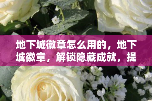 地下城徽章怎么用的，地下城徽章，解锁隐藏成就，提升角色实力的神秘道具